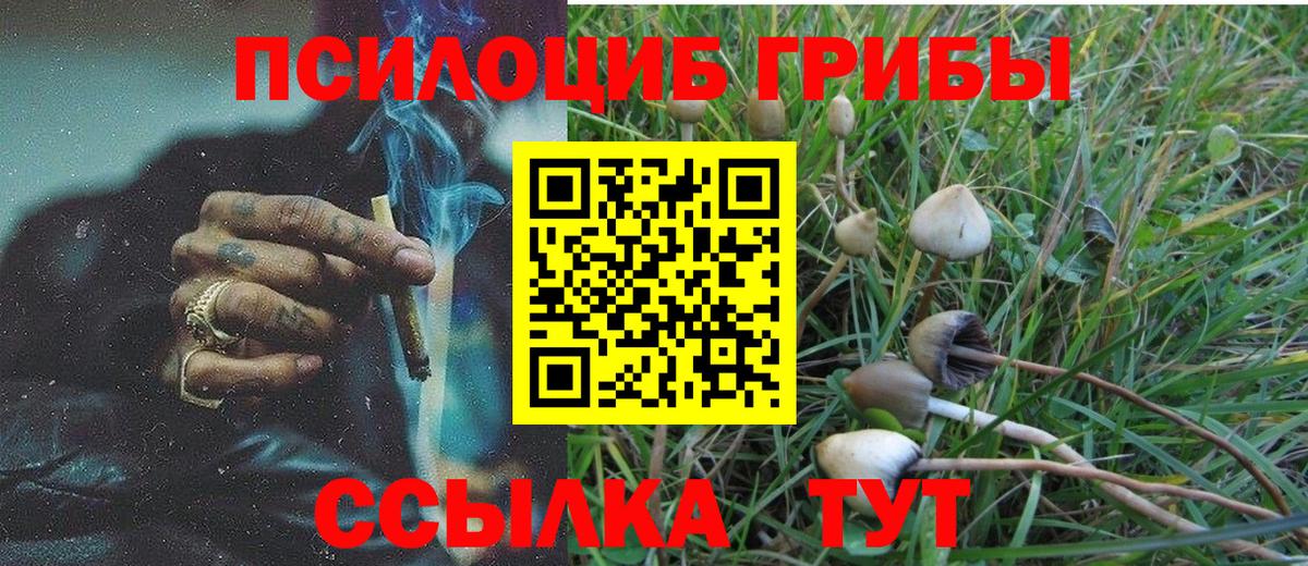 Псилоцибиновые грибы ЛСД Минусинск