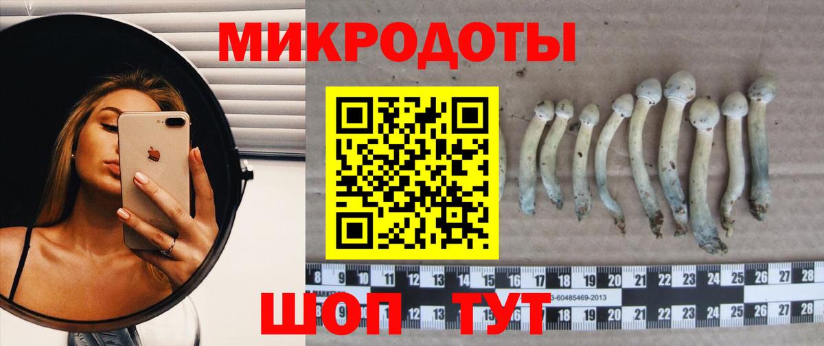 Псилоцибиновые грибы Cubensis  Вход с VPN  Минусинск  Галлюциногенные грибы мухоморы 